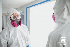 mold removal technicians